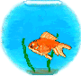 animated goldfish bowl