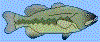 animated bass