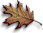 col-lv-2b.gif