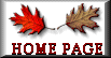 fall home button