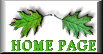 green home button