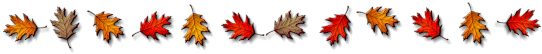 fall colors leaves bar
