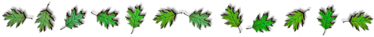 green leaf bar