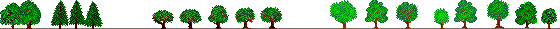 my1-tree_bar.gif