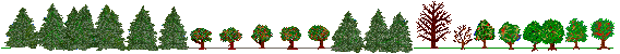 mytree_bar-win.gif
