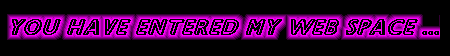 pwebsp2.gif