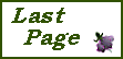 Last