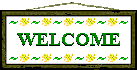 welcome - yellow flowers