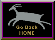 wild-home.GIF
