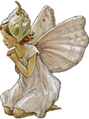 Fairy Child