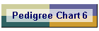 Pedigree Chart 6