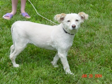 taffy-after