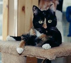 Aren't I lovely?
