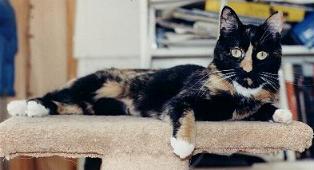 Strike a pose!