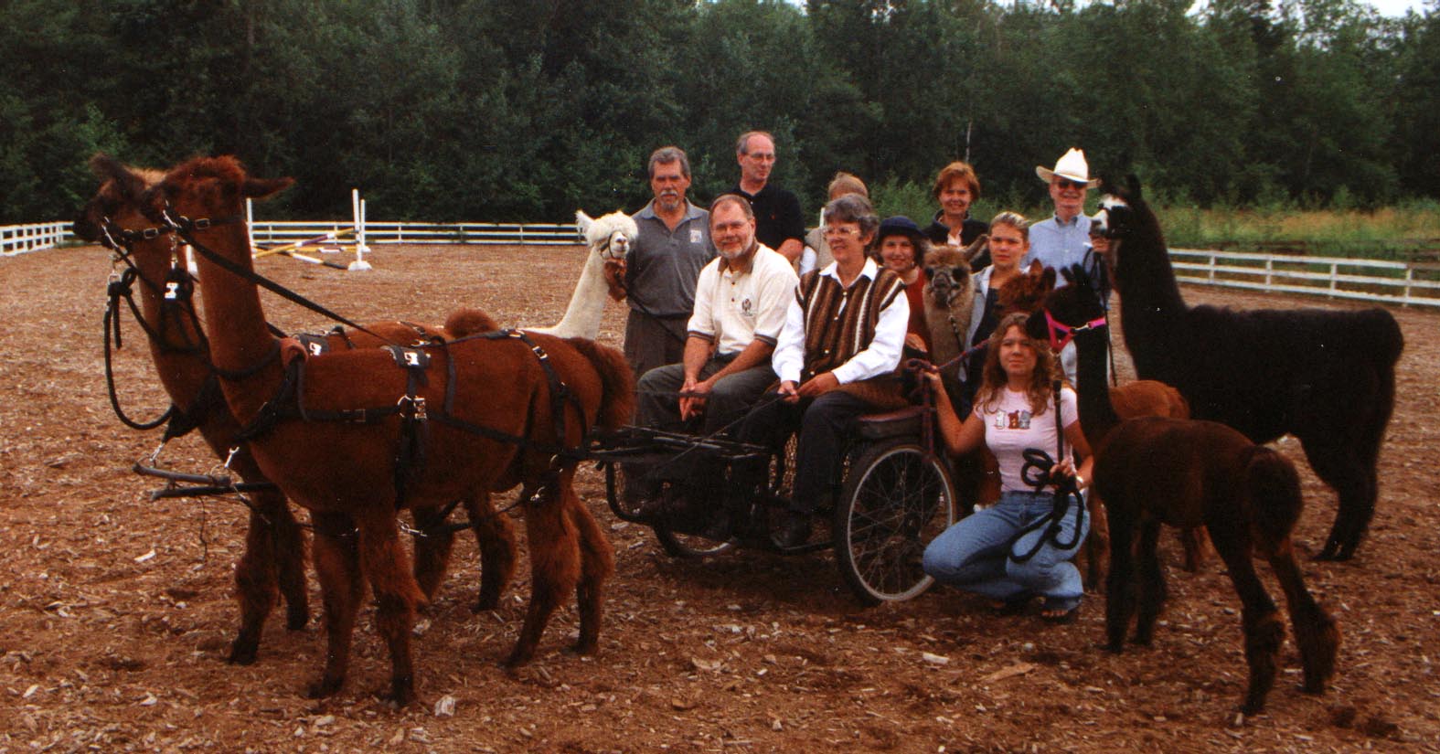 mayor kurt alberts