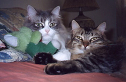 Menga and Atomic