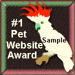 #1 Pet Website - Sample 1