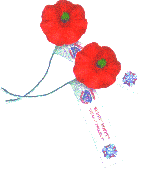 Poppy Flowers