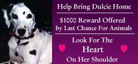 Please Help