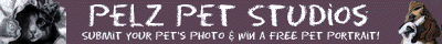 Pelz Pet Studio