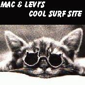Thanks Joanne, Max, & Levi!
