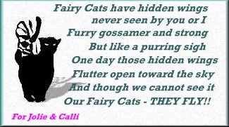This one is SO sweet, it made me cry!  Thanks Tara