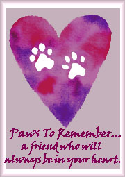 In Memory of My Jolie