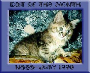 Naja is SO proud!  Many thanks Catpaws!