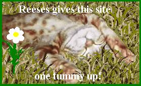 Thanks Reeses