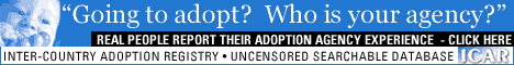 Adoption Agency Banner for www.adoptachild.org