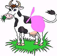 cowd.jpg