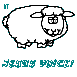 sheep