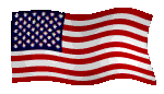 USA State World Flags