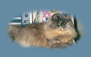 Fluffy selected with feathers