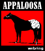 This is another great site in the Appaloosa WebRing