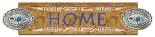home button