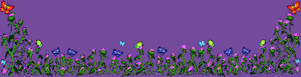 butterfly garden pic