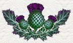 thistle bow divider Image