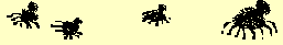 /user/newspiders6.gif