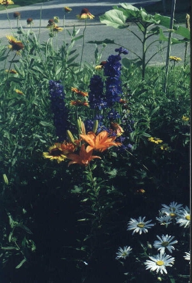 garden1