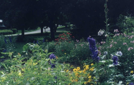 garden2