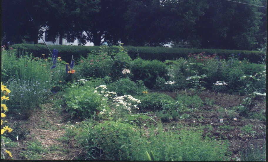 garden3