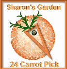 24 Carrot Website