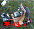 �SSale