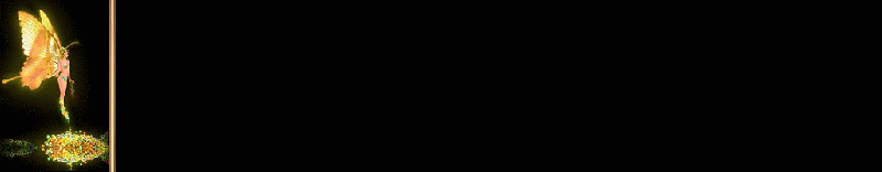 Thumbs/tn_fairybor3.gif