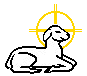 Lamb facing right