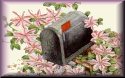 Floral Email