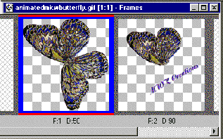 butterfly3