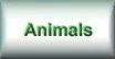 Granny-Wicked & Ralph's Animal Area