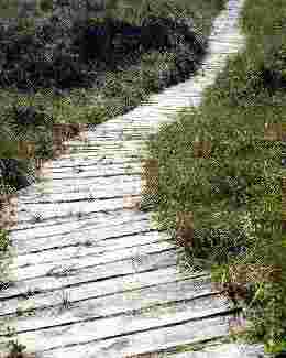 Pathway